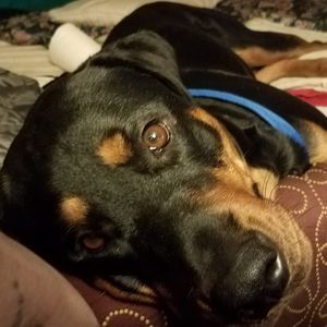 Meet your Posher, Gary